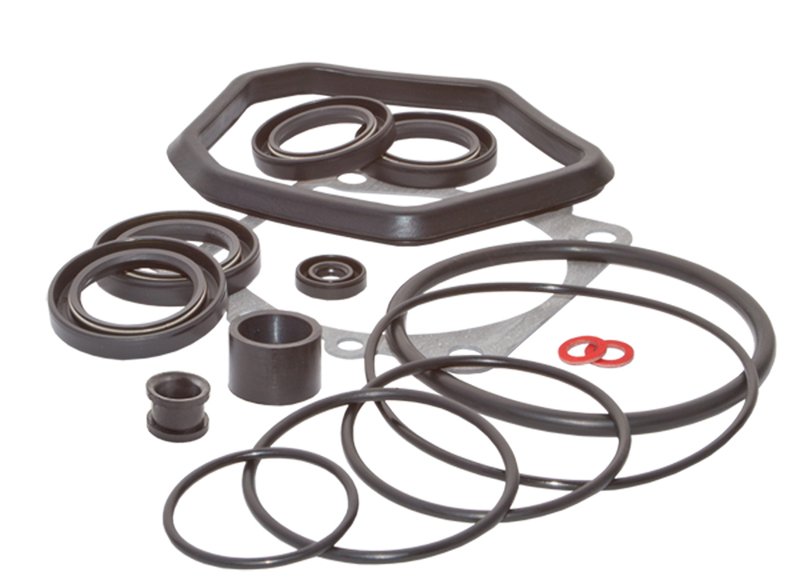 GEARCASE SEAL KIT, V4